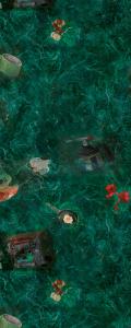 Water Lilies